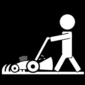 cut the grass